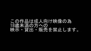 公主守城失败被骑士乱搞3D