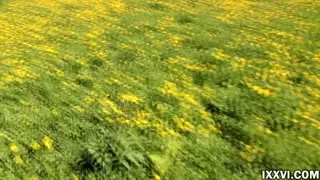 CasualBlowjobfromaStrangerGirlintheflowerfield